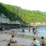 Cho thuê du lịch 7 chỗ đi Cát Bà